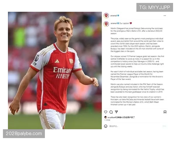 厄德高个人表现与团队成绩的关联性解析