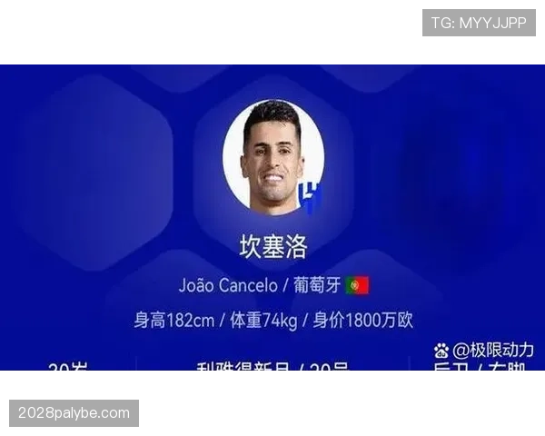 哈兰德终结效率与坎塞洛组织角色的结构性偏移分析