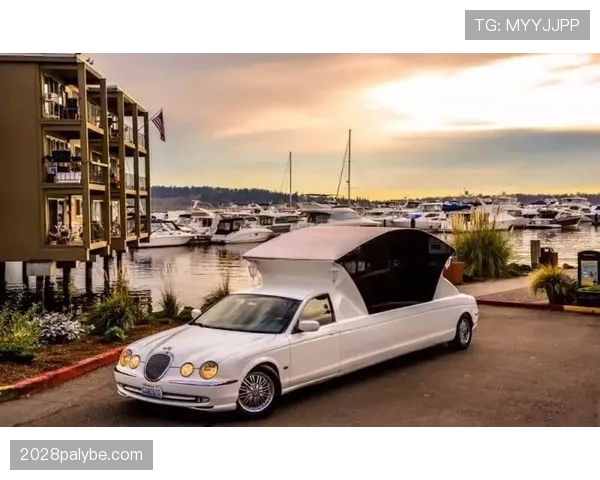 掌敏洁的家居简直不像刚进联盟的新人，豪车加私厨，普通队友都看呆了