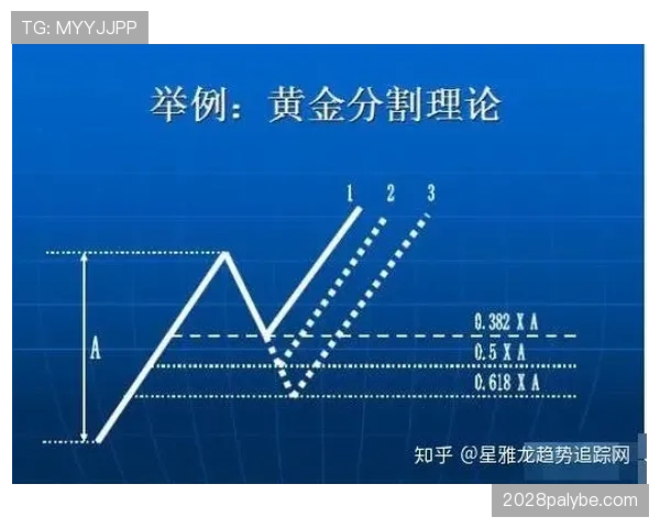 深度解析着地空间规则在实战中的具体判罚含义
