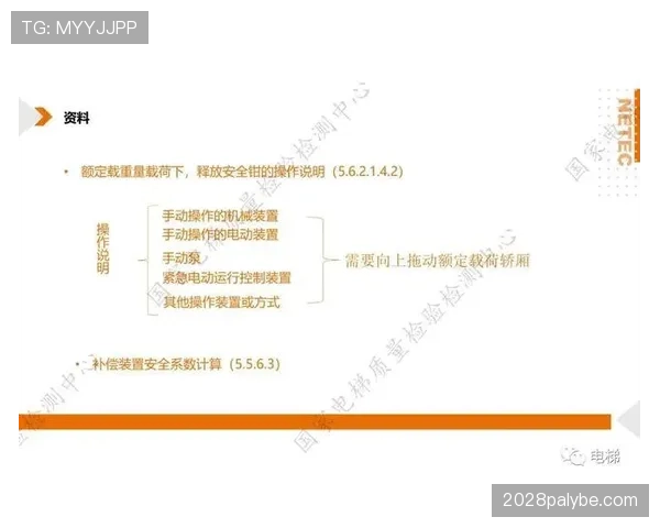 篮球回场规则差异的具体判定依据与相关规则条款详细解析