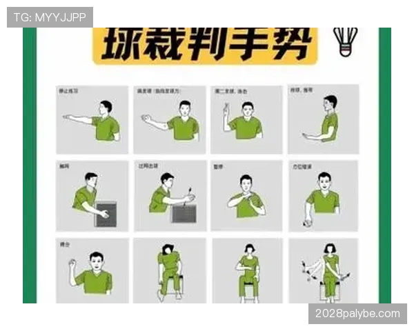 防守犯规的正确判罚标准与裁判手势解析